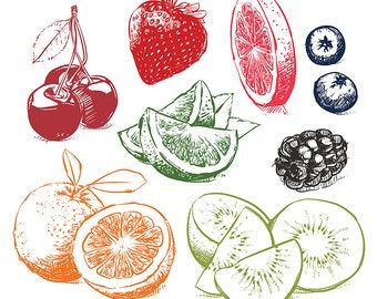 Fruit Shop Logo, Fruits Sketch, Fruit Sketch, Fruit Vector, Fruit Shop, 카드 디자인, Logo Art, Shop Logo, Digital Clip Art