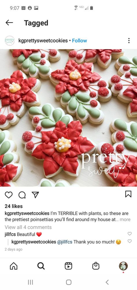 Pointsetta Cookies Decorated, Poinsettia Sugar Cookies, Poinsettia Cookies Decorated, Poinsettia Cookies, Christmas Icing, Christmas Bouquet, Xmas Cookies, Cookie Inspiration, Christmas Sugar Cookies