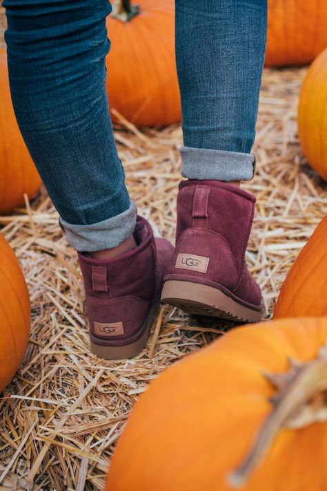 On the hunt to find the best pumpkin. Happy Halloween! Boots Leggings Outfit, Boots Leggings, Ugg Snow Boots, Ugg Boots Outfit, Uggs With Bows, Burgundy Boots, Ugg Classic Mini, Uggs Outfit, Warm Shoes