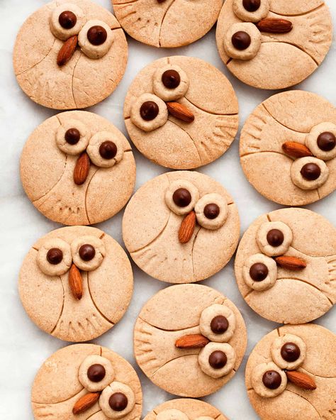 Owl Cookies Royal Icing, Cinnamon Shortbread, Owl Cookies, Basic Cookies, Cinnamon Almonds, Drop Cookies, Animal Cookies, Icing Recipe, Shortbread Cookies