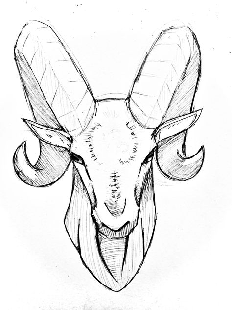 Ram Horns Drawing Reference, Ram Animal Drawing, Ram Head Drawing, Ram Doodle, Ram Horns Drawing, Goat Drawing Sketch, Goat Face Drawing, Horns Drawing References, Ram Sketch