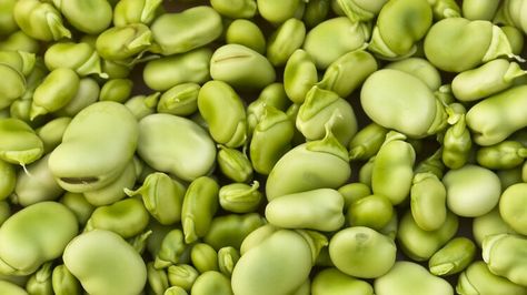 Why You Should Steer Clear Of Raw Lima Beans Lima Bean Recipes, Lima Bean, Lima Beans, Butter Beans, Tasting Table, Eating Raw, Bean Recipes