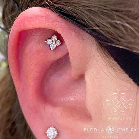 Roots Tattoo, Ear Peircings, Curated Ear, Piercing Inspo, Cute Piercings, Deep Roots, Ear Jewelry, Earings Piercings, Ear Piercings