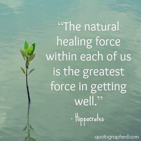 A Quotation by Hippocrates Homeopathy Quotes, Natural Healing Quotes, Hippocrates Quotes, Medicine Quotes, Quotes Healing, Nature Healing, Endocannabinoid System, Health Heal, A Course In Miracles