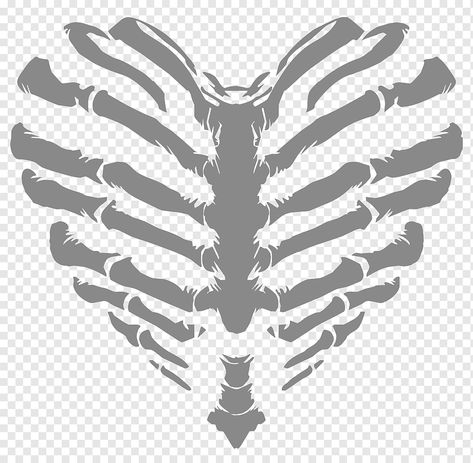 Heart Ribcage Drawing, Ribs Illustration, Heart Ribcage, Rib Cage Shirt, Skeleton Vector, Editing Assets, Skeleton Ribs, Human Body Bones, Human Ribs