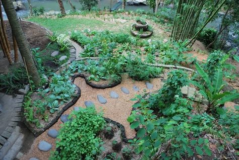 Bill Mollison, Permaculture Design Course, Food Forest Garden, Permaculture Garden, Permaculture Principles, Garden Prepping, Permaculture Gardening, Permaculture Design, Forest Garden