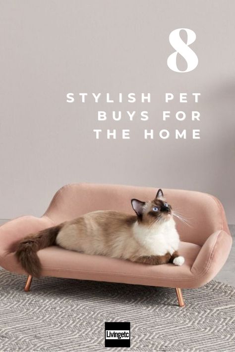 Cat Sofa Diy, Cat Bed Table, Cute Cat Beds, Luxury Pet Furniture, Cat Sofa, Cat Grey, Brown Kitten, Cozy Beds, Cat Couch