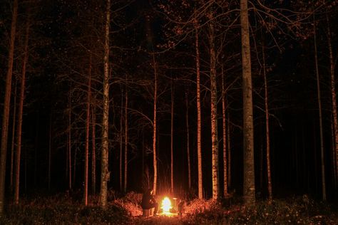 Scary Monsters, Night Forest, Forest Art, September 28, Camp Half Blood, Autumn Cozy, Autumn Aesthetic, Aesthetic Themes, Ghost Stories