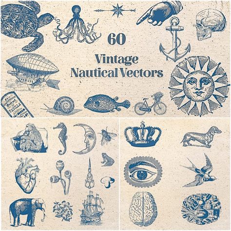 Vintage Nautical Art, Vintage Nautical Aesthetic, Vintage Nautical Bathroom, Seafood Branding, Vintage Nautical Tattoo, Nautical Graphics, Seaside Illustration, Vintage Nautical Wedding, Nautical Images