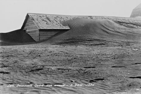 These 9 Photos From South Dakota's Dust Bowl Will Break Your Heart The Oregon Trail, Dust Bowl, Dust Storm, Bonnie Clyde, Interesting History, Us History, White Photo, South Dakota, Natural Disasters