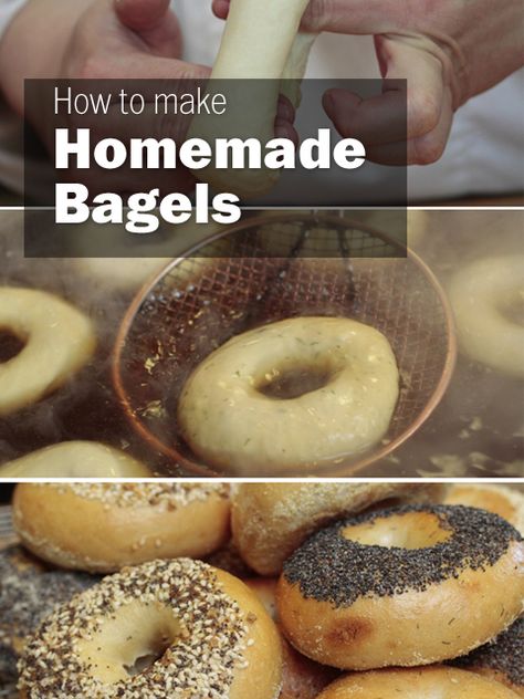 Step-by-step instructions for making bagels at home. Pudding Chia, Homemade Bagels, Bagel Recipe, Bread Machine Recipes, Bread Recipes Homemade, Sourdough Starter, Bread Dough, Bagels, Naan