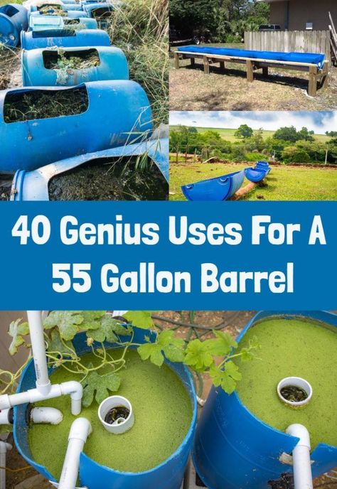 40 Genius Uses For a 55 Gallon Barrel 55 Gallon Drum Rain Barrel, 55 Gallon Drum Ideas, Plastic Barrel Projects, Plastic Barrel Ideas, 55 Gallon Plastic Drum, Como Plantar Pitaya, Hydro Gardening, Barrels Diy, Barrel Ideas