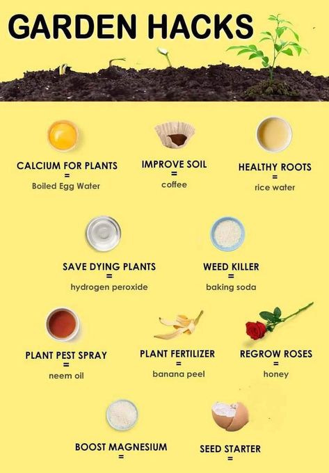 Pest Spray, Garden Remedies, Vegetable Garden Planning, Plant Pests, Garden Hacks, Vegetable Garden Diy, Gardening Hacks, Fertilizer For Plants, Veg Garden