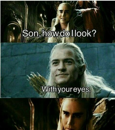 Sarcastic Legolas. Love it!!! Legolas Thranduil, Dessin Game Of Thrones, Hobbit Funny, Lotr Legolas, Legolas And Thranduil, Lotr Funny, Movie Memes, Orlando Bloom, Thranduil