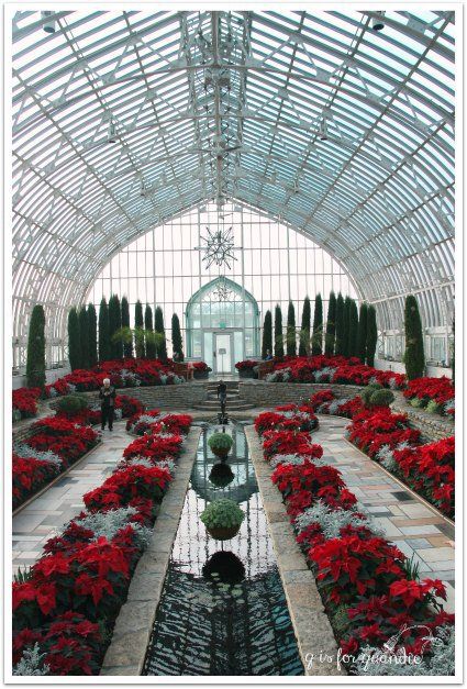 Conservatory at Como Park Garden Observatory, Poinsettia Display, London Places, Garden Cottage, Beautiful Architecture, Beautiful Buildings, Pretty Places, Dream Garden, My Sister