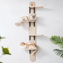 Cat Climber, Cat Climbing Tree, Cat Window Perch, Modern Cat Tree, Cat Wall Furniture, Physical Training, Cat Towers, Wall Furniture, Cat Shelves