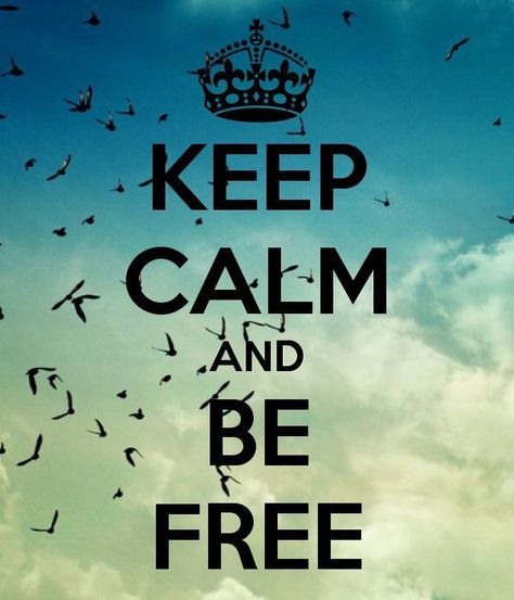 Free As A Bird Quotes, Human Trafficking Awareness Month, Quotes Freedom, Keep Calm Wallpaper, Human Trafficking Awareness, Keep Calm Signs, Keep Calm Carry On, Free As A Bird, Keep Calm Posters