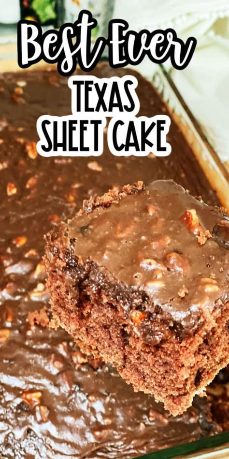 Original Texas Sheet Cake Recipe, Best Texas Sheet Cake Recipe, Texas Chocolate Sheet Cake, Chocolate Sheet Cake Recipe, Texas Sheet Cake Recipe, Sheet Cake Recipe, Texas Sheet, Texas Sheet Cake, Chocolate Cake Recipe Easy