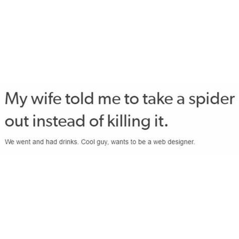 Spider Pun funny humor Spider Puns, Funny Puns, Funny Humor, Puns, Web Design, Humor, Memes, Funny, Animals