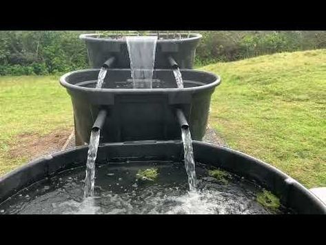 300 Gallon Rubbermaid Stock Tank Pond - YouTube Stock Tank Ideas, Stock Tank Pond, Rubbermaid Stock Tank, Bog Filter, Patio Pond, Diy Water Fountain, Water Trough, Pond Ideas, Solar Fountain