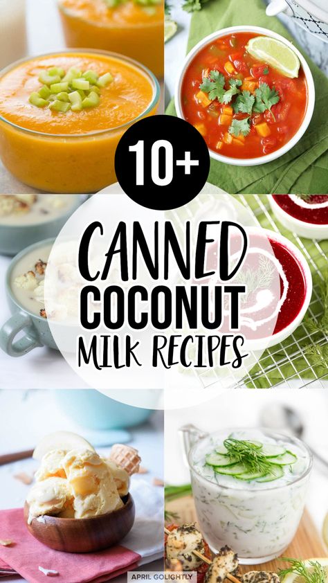 Canned Coconut Milk recipe are here! Ice Cream, Soups, Homemade Tzatziki Sauce, and more recipes! Canned Coconut Milk Recipes, Beet Soup Recipes, Cream Soups, Braised Chicken Breast, Homemade Tzatziki Sauce, Homemade Tzatziki, Party Food Dessert, Coconut Milk Recipes, Recipes Paleo