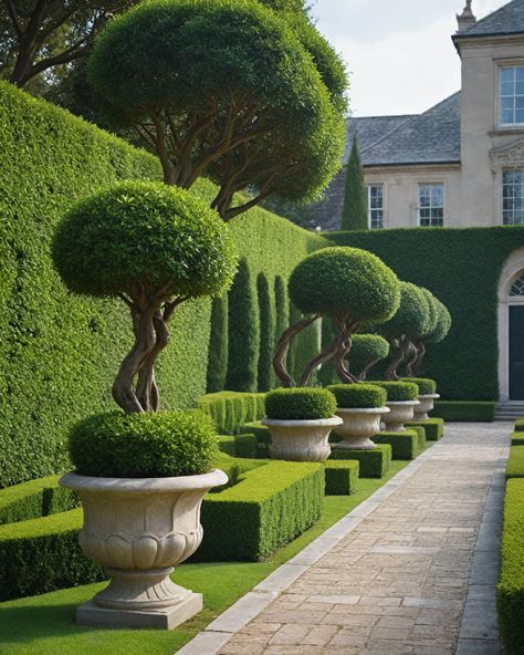 10 Best Shrubs For Topiary Topiary Garden Ideas, Topiary Shrubs, Topiary Boxwood, Yew Topiary Balls, Plant Topiary, Live Topiary, Ladew Topiary Gardens, Tall Shrubs, Alley Way