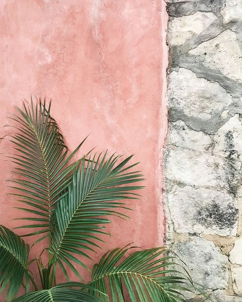 Here are 19 of my favorite minimalist Instagram accounts, ranging in everything from decor to architecture to travel. Click through to take a peek!       #["Inspiration", "mid-century modern", "minimalist", "scandinavian", "mid-century modern", "minimalist", "scandinavian", "Instagram"] Pastel Luxury, Swim 2024, Rainbow Pastel, Print Studio, Instagram Accounts To Follow, 背景 シンプル, Studio Ideas, Pink Wall, Photo Journal