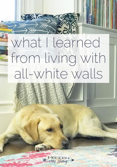 What I learned from living with all-white walls for a whole year Titles For People, What Should I Read Next, Modern Outdoor Seating Area, Paint Combos, Modern Outdoor Seating, Brick Colonial, Paint Makeover, White Wall Paint, Cheap Patio Furniture