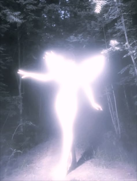 Angel In Forest, Angel Vintage Aesthetic, Virtual Angel Aesthetic, Angelic Core, Angelic Woman, Virtual Aesthetic, Angel Pretty, Silhouette Aesthetic, Virtual Angel