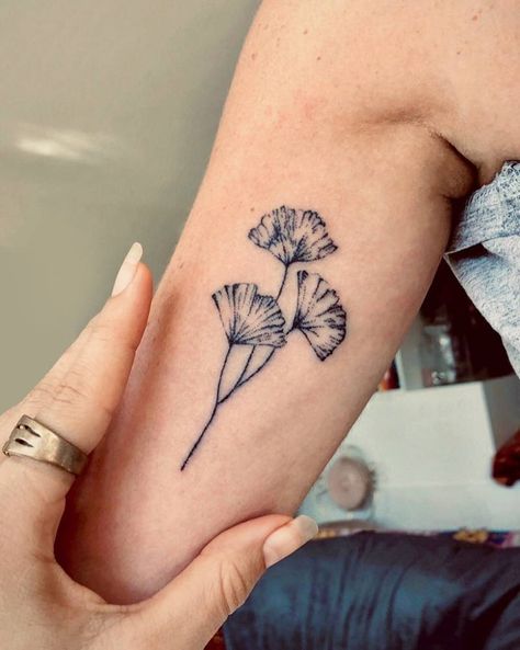 Hand poked gingko leaves tattoo on the inner arm. Gingko Leaves Tattoo, Thistle Tattoo, Leaves Tattoo, Baby Tattoo Designs, Nature Leaves, Gingko Leaves, Poke Tattoo, Discreet Tattoos, Ginkgo Leaf