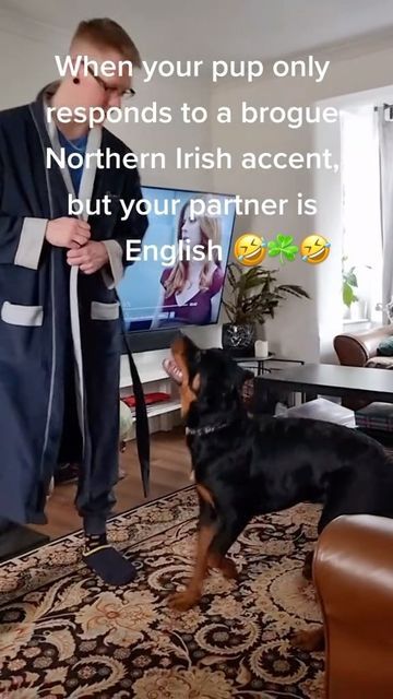 Irish Daily on Instagram: "When your pup only responds to a brogue Northern Irish accent, but your partner is English🤣☘️🤣 Feel free to tag/share with family/friends you think might enjoy this 🤣☘️🤣 #irishaccent #englishaccent . 📸👉 TT: Megan.reads.a.lot 👏☘️👏 #irish_daily #reelsoftheday #irish #puppy #dogsofinstagram #dog #northernireland" Irish Accent, English Accent, Northern Irish, Northern Ireland, Family Friends, You Think, Travel Tips, Thinking Of You, Puppies