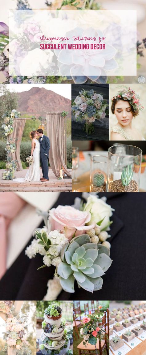 Inexpensive Solutions for Succulent Wedding Decor - Happily Ever After, Etc. Wedding Centerpieces With Succulents, Succulent Centerpiece Wedding, Succulent Arrangements Wedding, Plant Business, Succulent Wedding Decor, Flowers And Succulents, Succulent Wedding Centerpieces, Succulent Wedding Invitations, Wedding August