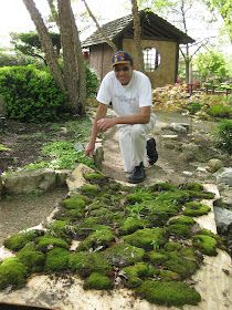 Rotary Botanical Gardens - Hort Blog: Making Of A Moss Garden Moss Front Yard, Moss Garden Outdoor, Natural Backyard Landscaping, Woodland Garden Ideas, Moss Projects, Moss Gardens, Moss Lawn, Growing Moss, Sweat Lodge