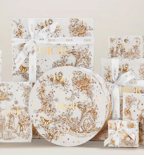 Dior Plates, Dior 2021, Plates Set, Luxury Handbags, Christian Dior, Ready To Wear, Dior, Packaging, Christmas