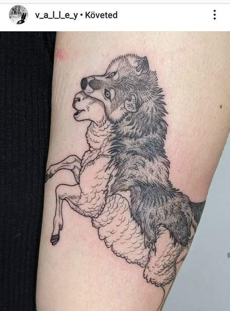 Anarchist Tattoo, Sheep In Wolves Clothing, Lambs And Wolves, Tatted Girl, Illusion Tattoo, Paranormal Park, Sheep Tattoo, Stick Tattoo, Wolf Clothing