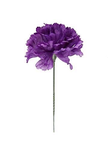 Purple Carnations, Wedding Flower Guide, Fresh Wedding Flowers, Bright Wedding Flowers, Simple Wedding Flowers, Flower Picks, Flower Guide, Unique Wedding Flowers, Purple Wedding Flowers