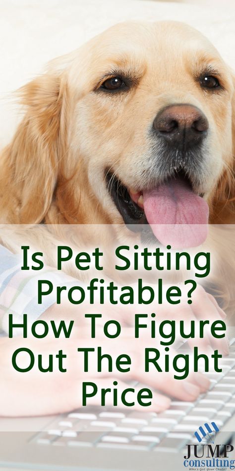 Is Pet Sitting Profitable? How To Figure Out The Perfect Price. Dog Sitting Business, Critter Sitters, Pet Care Business, Pet Sitting Business, Dog Walking Business, Pet Hotel, Dog Business, Pet Businesses, Dog Daycare