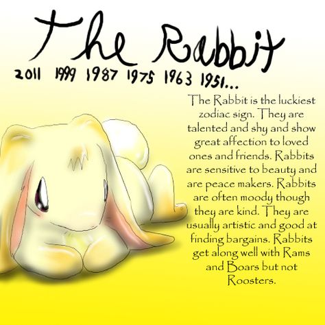 Chinese Zodiac Rabbit, Lucky Sign, Animal Spirit, Chinese Astrology, Zodiac Mind, Year Of The Rabbit, Chinese Zodiac Signs, Zodiac Symbols, Chinese Zodiac