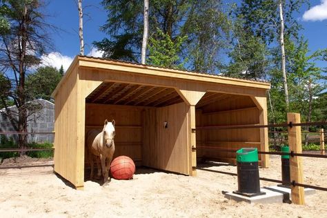 Horse Dry Lots, Cow Pen, Horse Shed, Dream Ranch, Horse Farm Ideas, Horse Shelter, Colorado House, Outdoor Shelters, Farm Ideas