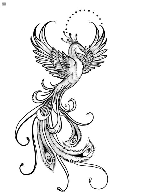 Women Tattoo Ideas, Phoenix Tattoo, Tattoo Tattoo, Phoenix, Tattoo Ideas, Black And White, Tattoos, Black, Design