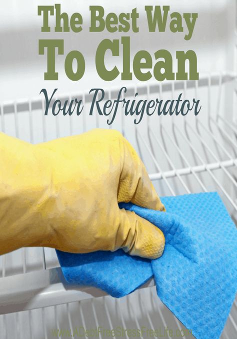 Clean Refrigerator, Cleaner Recipes, Cleaning Motivation, Homemade Cleaning Products, Kitchen Cleaning Hacks, Household Cleaning Tips, Cleaning Recipes, Carpet Cleaner, Free Life