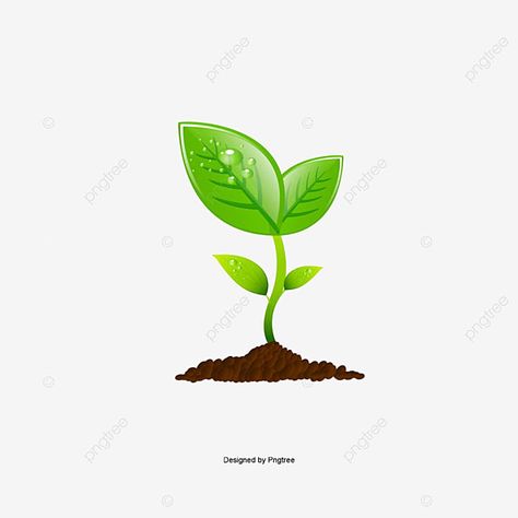 tanaman,tumbuh,s,tanaman,menanam,tanah,vektor penanaman,vektor s,logo pohon,tanaman hijau S Png, S Logo, Png Clipart, Trees To Plant, Plant Leaves, Design Ideas, Graphic Design, Media, Plants