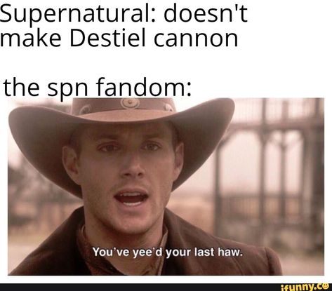 upernatural: doesn't make Destlel cannon thespn fanom: You've yee‘d your last haw. – popular memes on the site iFunny.co #jensenackles #celebrities #supernatural #jensenackles #spn #j2 #squirrel #deanwinchester #doesnt #make #destlel #cannon #thespn #youve #yeed #last #haw #pic Clean Memes, School Memes, Memes Br, Memes Humor, Hair Humor, The Legend Of Zelda, So Funny, Tumblr Funny, Jojo's Bizarre Adventure