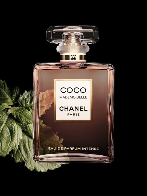 Coco Mademoiselle Intense, Mademoiselle Perfume, Coco Chanel Mademoiselle, Parfum Chanel, Pheromone Perfume, Perfume Collection Fragrance, Chanel Store, Chanel Perfume, Signature Fragrance