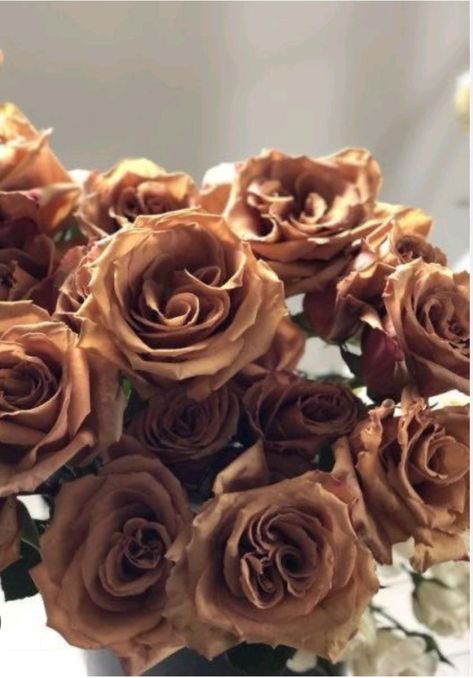 Brown Roses, Aesthetic Brown, Cream Aesthetic, Brown Flowers, Flowers Aesthetic, Gold Aesthetic, Floral Studio, Brown Wallpaper, Beige Aesthetic