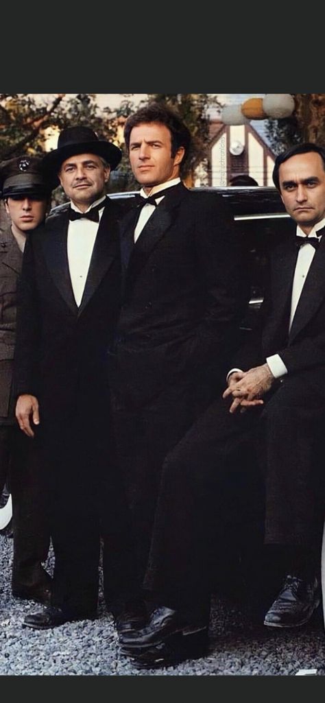 James Caan Godfather, James Caan, Marlon Brando, Al Pacino, Classic Movies, The Godfather, Photo Posters, Dvd, Film