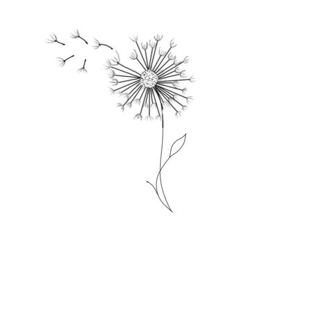 Tattoo Sentences, Dandelion Tattoo, Pencil Drawings Of Animals, Aries Tattoo, D Tattoo, Small Pretty Tattoos, Back Tattoo Women, Desenho Tattoo, Spine Tattoos