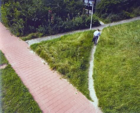 hoolawhoop: desire lines - olifantenpaadjes Path Photography, Filming Ideas, How Old Am I, Museum Wall, Man Vs Nature, Experimental Type, Walking Path, Social Engineering, City Planner