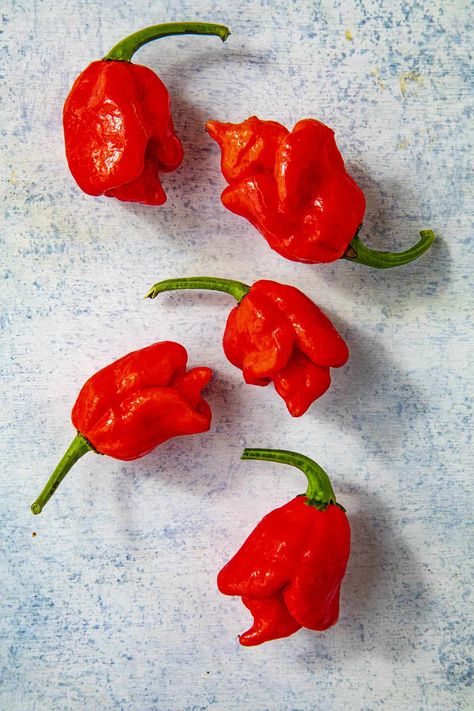 Trinidad Scorpion Pepper Scorpion Pepper Recipes, Chili Pepper Plant, Scoville Scale, Types Of Chili Peppers, Chile Habanero, Trinidad Scorpion, Carolina Reaper, Spicy Salsa, Habanero Peppers