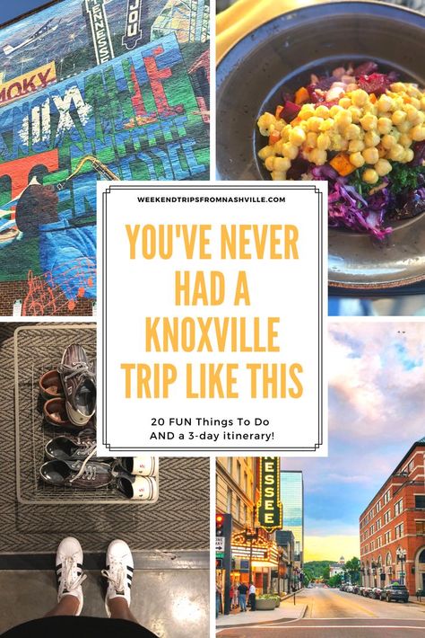 Things To Do In Knoxville, Tennessee Gatlinburg, Nashville Tennessee Vacation, Tennessee Photography, Tennessee Road Trip, Mountains Tennessee, Best Weekend Trips, Tennessee Travel, Red Pandas